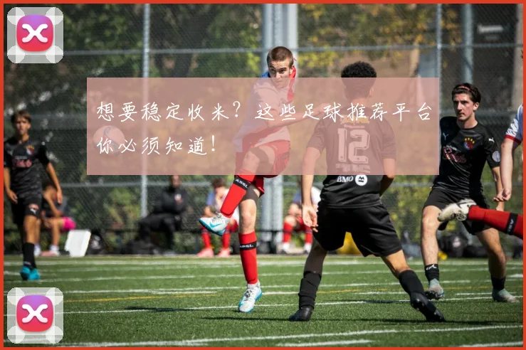 想要稳定收米?这些足球推荐平台你必须知道!