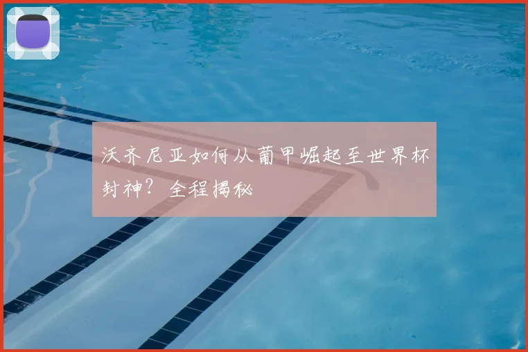 沃齐尼亚如何从葡甲崛起至世界杯封神?全程揭秘